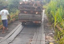 Karena ditelan usia, pengendara ekstra hati-hati melintas di jembatan ulin Jejangkit Muara