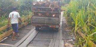 Karena ditelan usia, pengendara ekstra hati-hati melintas di jembatan ulin Jejangkit Muara