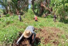 Ditangan Kades H.Meri Apriansyah, status desa tertinggal berubah menjadi desa berkembang
