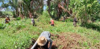 Ditangan Kades H.Meri Apriansyah, status desa tertinggal berubah menjadi desa berkembang