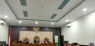 Minggu depan sidang lanjutkan polemik kebun sawit plasma, berlanjut ke PS
