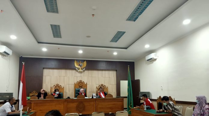 Minggu depan sidang lanjutkan polemik kebun sawit plasma, berlanjut ke PS