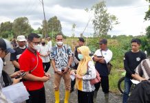 Sidang polemik kebun sawit plasma di Wanaraya masuk agenda pemeriksaan setempat (PS)