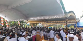 Bersihkan diri dari sifat buruk, ratusan Umat Hindu ikuti upacara Mepandes