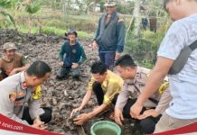 Warga Desa Tanjung Harapan menemukan sebuah benda yang diduga peluru meriam?