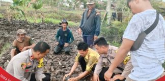 Warga Desa Tanjung Harapan menemukan sebuah benda yang diduga peluru meriam?
