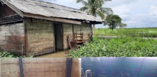 Selain menjadi ‘langganan banjir’, bangunan fisik SDN Dalam Pagar Ulu 2 juga termakan usia