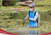 Atasi gulma kayu apu, Saidi Mansyur serahkan bantuan alat semprot dan cairan pembasmi gulma