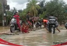 Akibat banjir, petani Desa Sungai Raya tak bisa menyadap karet