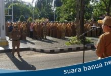 Ikhwansyah, menjadi pembina apel gabungan ASN dilingkup Pemkab Banjar