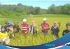 Panen perdana, Kelompok Tani Karya Mandiri Mataraman hasilkan 4,8 ton benih unggul Cakra Buana dalam 1 hektarnya