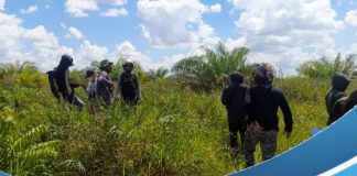 TPKS Batola lakukan pengukuran di lahan sawit PT.PBB yang dituntut ganti rugi warga Simpang Nungki