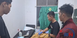 Kecelakaan lalu lintas kembali terjadi di Batola, korbannya meninggal akibat patah kaki dan luka