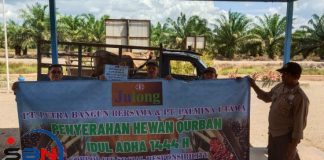 Idul Adha 1444 H, perusahaan sawit bagikan hewan kurban kepada enam desa di Batola