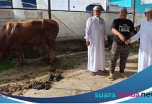 H.Prabowo Subianto sumbang 2 ekor sapi kurban ke Masjid Al Karomah Martapura