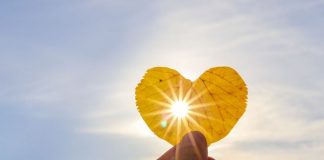 30 kalimat bijak Ali bin Abi Thalib, bisa jadi motivasi dalam hidup30 kalimat bijak Ali bin Abi Thalib, bisa jadi motivasi dalam hidup