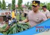 Gugah kesadaran arti pentingnya kebersihan, Polres Batola lakukan aksi bersih bersih dilingkungan kumuh