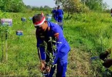 Lestarikan lingkungan dan kawasan habitat Bekantan di Pulau Durian, Polres Batola lakukan penanaman Mangrove
