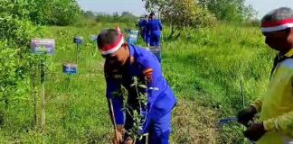 Lestarikan lingkungan dan kawasan habitat Bekantan di Pulau Durian, Polres Batola lakukan penanaman Mangrove
