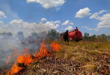 5 jam BPBD Banjar dan petugas relawan padamkan Kebakaran hutan dan lahan di perbatasan Desa Cindai Alus