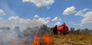 5 jam BPBD Banjar dan petugas relawan padamkan Kebakaran hutan dan lahan di perbatasan Desa Cindai Alus