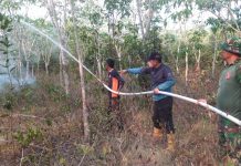 Sebanyak 4 hektar lahan sawit dan karet di Desa Pasiraman Kabupaten Banjar terbakar