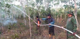 Sebanyak 4 hektar lahan sawit dan karet di Desa Pasiraman Kabupaten Banjar terbakar