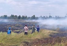 Hingga awal September ini, Kebakaran hutan dan lahan kembali terjadi disejumlah desa di Kabupaten Banjar