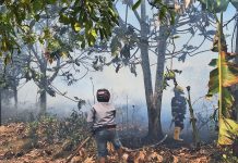 Angin kencang, titik api di Desa Bincau sulit dipadamkan petugas dan relawan pemadam kebakaran Kabupaten Banjar