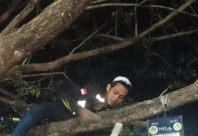 Persiapan pelaksanaan acara haulan ke 17 KH. Abdus Syukur terus dilakukan, termasuk memasang 100 titik lampu penerangan