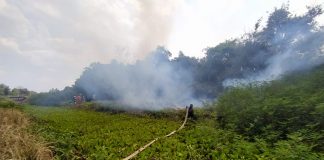 Di Desa Melayu Ilir, petugas BPBD harus menyebarang sungai untuk padamkan karhutla