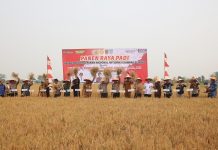 Wakapolri bersama sejumlah pejabat daerah di Kalsel hadiri kegiatan panen raya di Desa Penggalaman