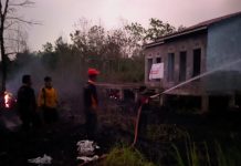 Karhutla di Banyu Hiring, api membakar semak blukar dan pepohonan liar