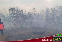 Petugas BPBD Kabupaten Banjar kembali padamkan dua titik karhutla di kawasan Jalan Gubernur Syarkawi Gambut