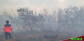 Petugas BPBD Kabupaten Banjar kembali padamkan dua titik karhutla di kawasan Jalan Gubernur Syarkawi Gambut