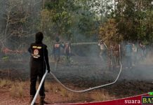 Bupati Banjar akan berikan BPJS kesehatan gratis untuk anggota pemadam kebakaran swasta