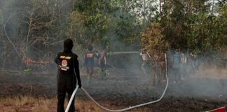 Bupati Banjar akan berikan BPJS kesehatan gratis untuk anggota pemadam kebakaran swasta