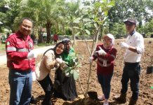 Ruang Terbuka Hijau Bawahan Selan taman hijau Mataraman