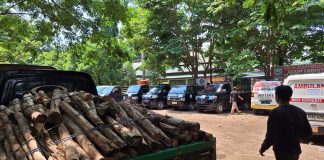 Untuk keperluan dapur umum di haul ke 19 Guru Sekumpul, warga Jejangkit Pasar kirim kayu bakar ke Sekumpul