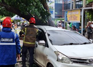 Usai di parkir pemiliknya, sebuah minibus di Martapura tertimpa pohon tumbang