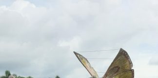 Mewakili Ketua DPRD, Sekwan Muhammad Haris Isroyani hadiri kegiatan penamaan sejuta pohon