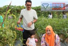 Manfaatkan lahan perkarangan, TP PKK Kabupaten Banjar panen sayuran di kebun percontohan