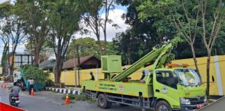 Sejumlah pohon yang dianggap melindungi area proyek lampu merah ATCS, dipangkas petugas DLH