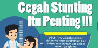 Fantastis, anggaran penanganan stunting di Kabupaten Banjar capai ratusan miliar