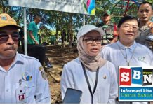 Jaga kelestarian lingkungan, PLN bersama Dishut Kalsel tanam 1883 bibit pohon di kawasan wisata Bukit Batu