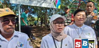 Jaga kelestarian lingkungan, PLN bersama Dishut Kalsel tanam 1883 bibit pohon di kawasan wisata Bukit Batu