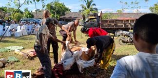Idul Adha 2024, Polres Banjar sembelih 24 ekor hewan kurban terdiri dari 19 ekor sapi dan 5 ekor kambing