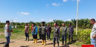Guna meningkatkan hasil kebun plasma, managemen KSU Maju Bersama terapkan disiplin terhadap karyawannya