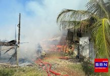 Kebakaran 2 kandang di Desa Cindai Alus, ribuan ekor ayam mati terpanggang