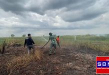 Hadapi kemarau, BPBD Kabupaten Banjar dirikan posko induk karhutla dan posko pembantu